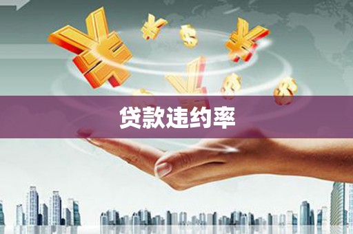 宁化贷款违约率