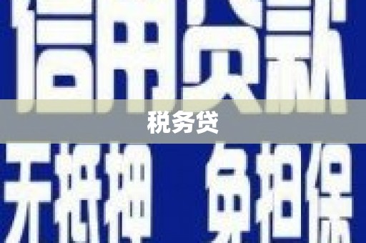 宁化税务贷