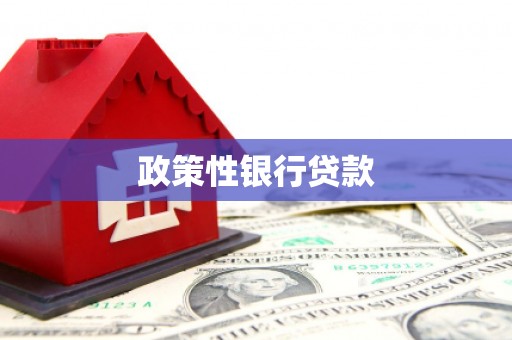 宁化政策性银行贷款