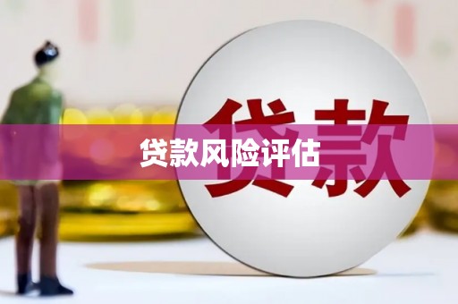 宁化贷款风险评估