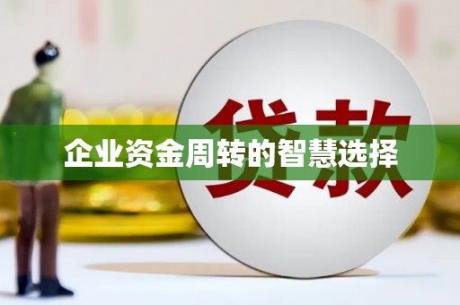 宁化企业资金周转的智慧选择