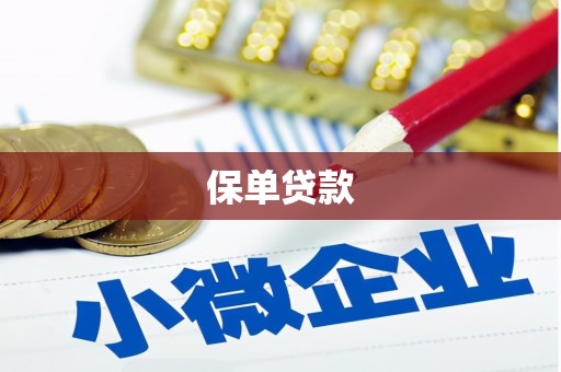 宁化保单贷款