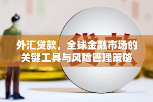 宁化外汇贷款，全球金融市场的关键工具与风险管理策略