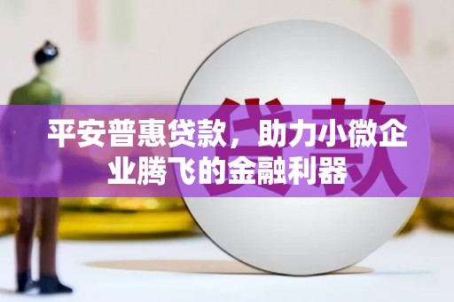 宁化平安普惠贷款，助力小微企业腾飞的金融利器