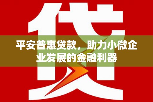 宁化平安普惠贷款，助力小微企业发展的金融利器