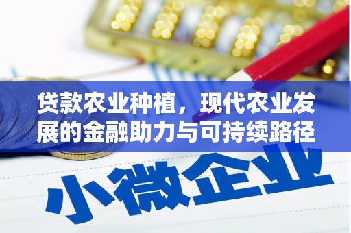 宁化贷款农业种植，现代农业发展的金融助力与可持续路径