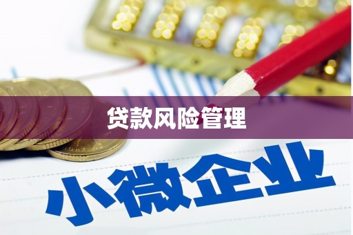 宁化贷款风险管理