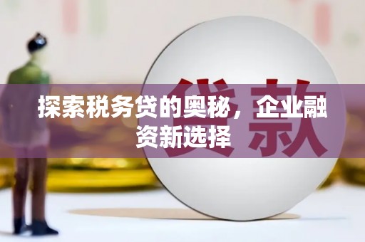 宁化探索税务贷的奥秘，企业融资新选择