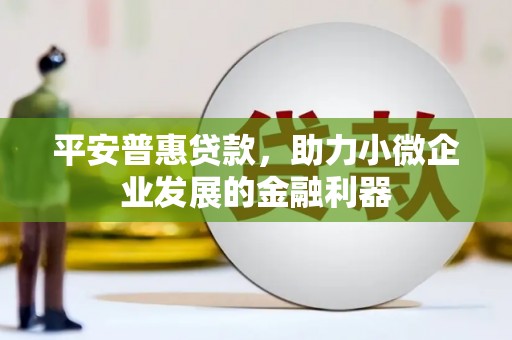 宁化平安普惠贷款，助力小微企业发展的金融利器