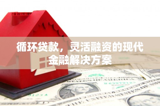 宁化循环贷款，灵活融资的现代金融解决方案