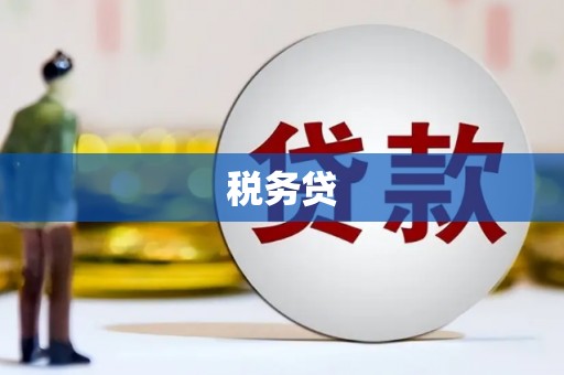 宁化税务贷