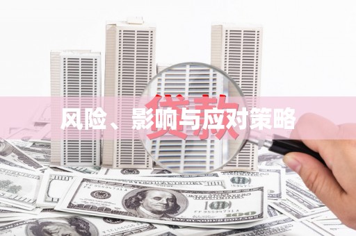 宁化风险、影响与应对策略