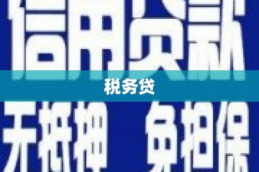 宁化税务贷