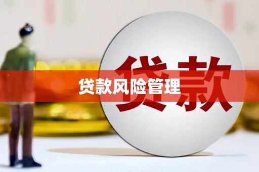 宁化贷款风险管理