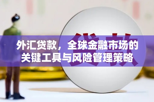 宁化外汇贷款，全球金融市场的关键工具与风险管理策略