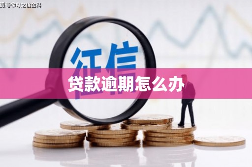 宁化贷款逾期怎么办