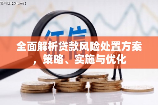 宁化全面解析贷款风险处置方案，策略、实施与优化