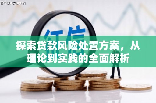 宁化探索贷款风险处置方案，从理论到实践的全面解析