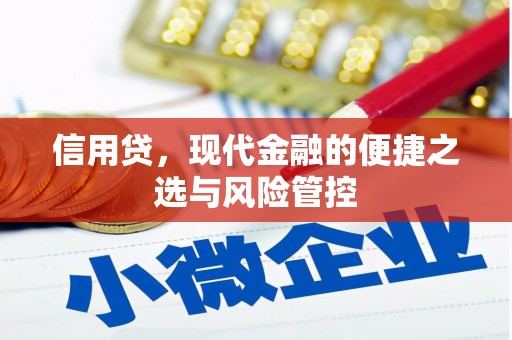宁化信用贷，现代金融的便捷之选与风险管控