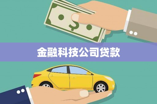宁化金融科技公司贷款