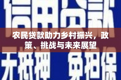 宁化农民贷款助力乡村振兴，政策、挑战与未来展望