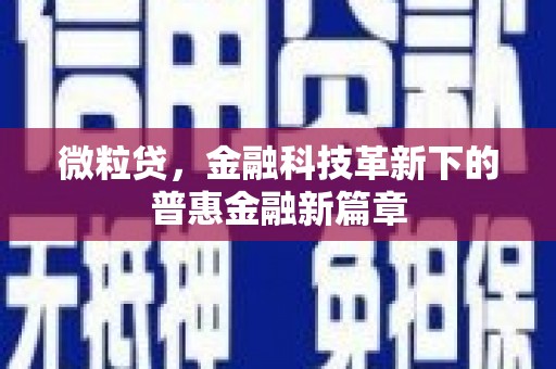 宁化微粒贷，金融科技革新下的普惠金融新篇章