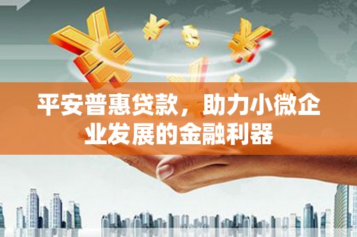 宁化平安普惠贷款，助力小微企业发展的金融利器