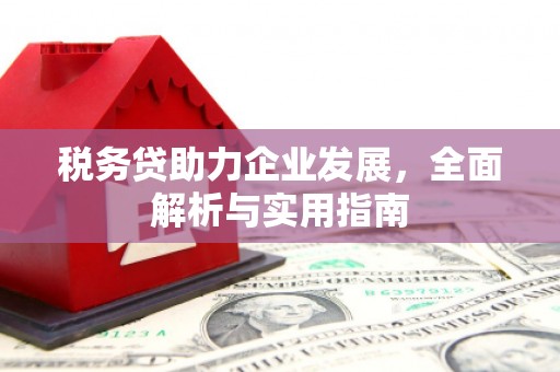 宁化税务贷助力企业发展，全面解析与实用指南