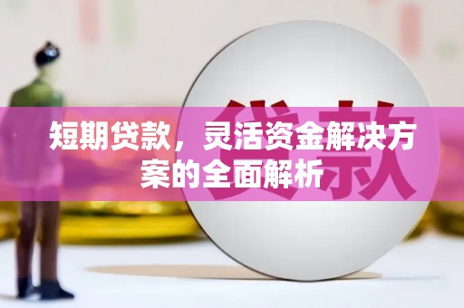宁化短期贷款，灵活资金解决方案的全面解析