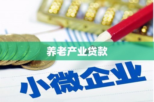 宁化养老产业贷款