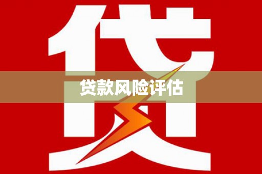 宁化贷款风险评估