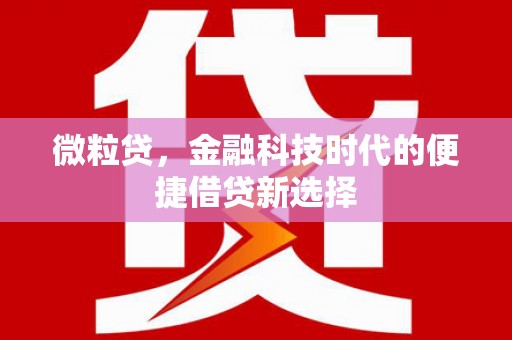 宁化微粒贷，金融科技时代的便捷借贷新选择