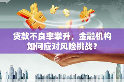 宁化贷款不良率攀升，金融机构如何应对风险挑战？