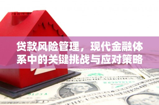 宁化贷款风险管理，现代金融体系中的关键挑战与应对策略