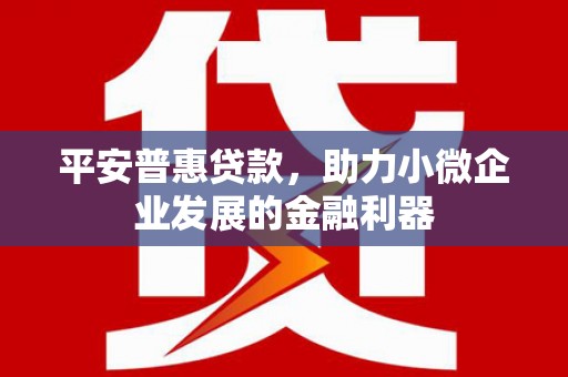 宁化平安普惠贷款，助力小微企业发展的金融利器