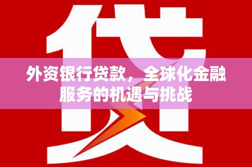 宁化外资银行贷款，全球化金融服务的机遇与挑战