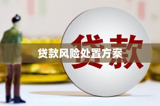 宁化贷款风险处置方案