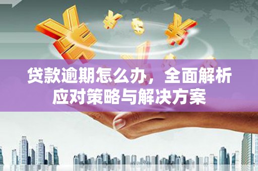 宁化贷款逾期怎么办，全面解析应对策略与解决方案