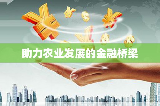 宁化助力农业发展的金融桥梁