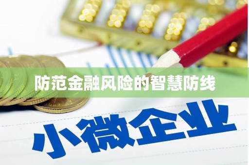 宁化防范金融风险的智慧防线